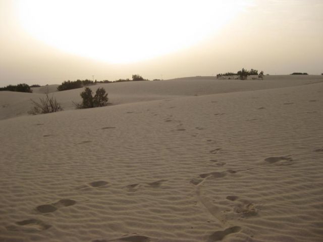 i/Family/Djerba/Safari - Djerba 2009 202.jpg_640.jpg